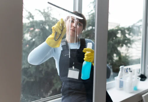 Nettoyage de vitres intérieures et extérieures à Montlevicq